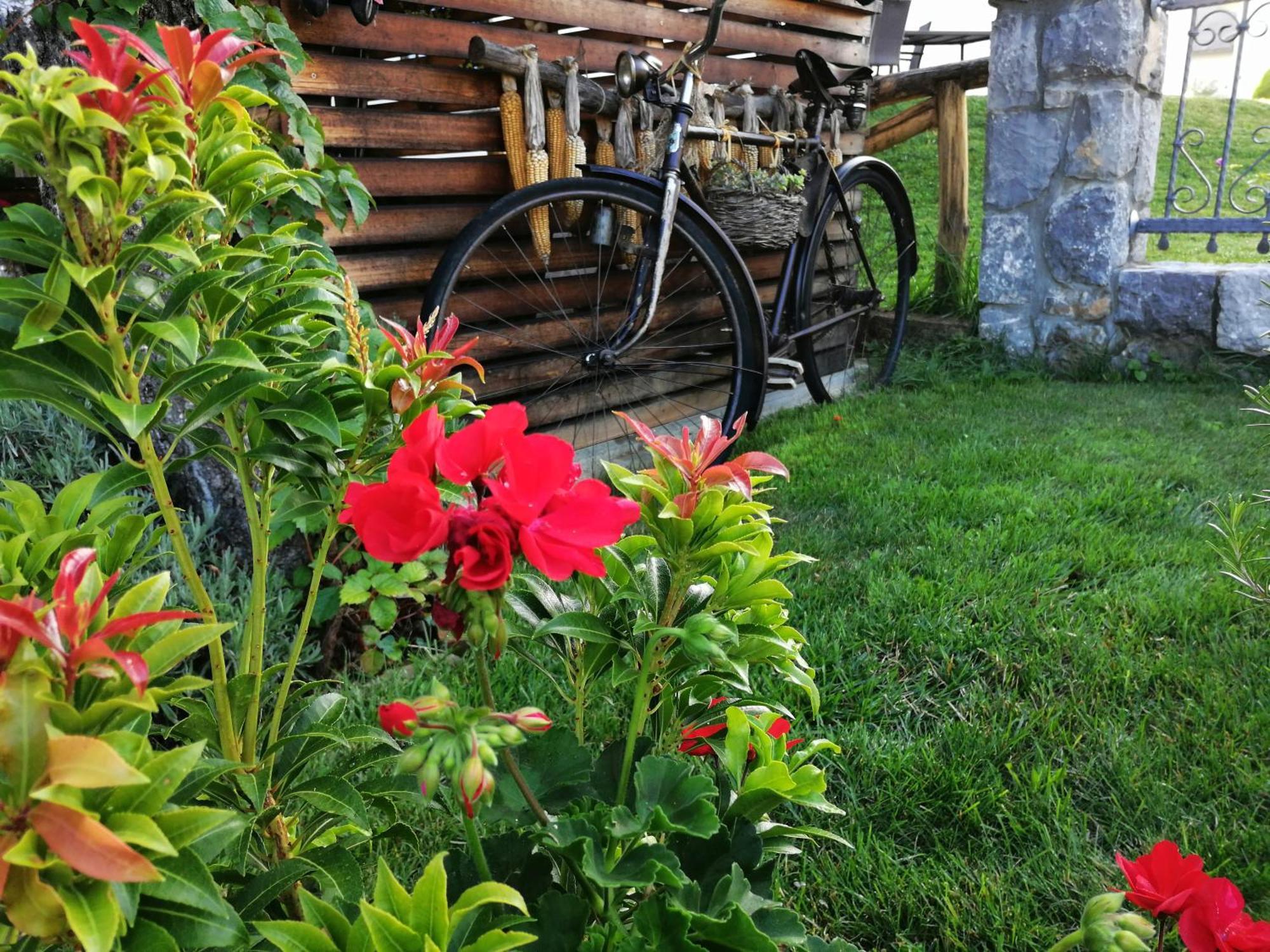 Barn House Mm Apartamento Bled Exterior foto